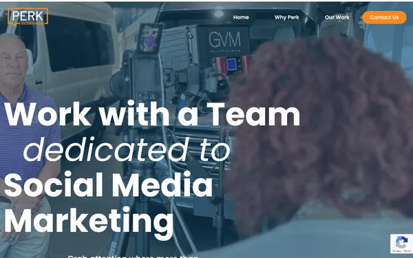 img of B2B Digital Marketing Agency - PERK Social Media